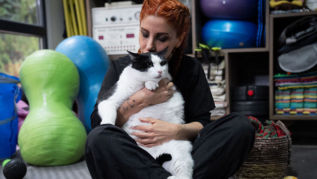 Obez kedi Boncuk, bir çocuk ağırlığına ulaştı: Diyet ve pilatesle zayıflatmaya çalışıyorlar
