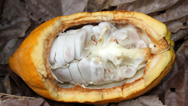 Resmen ispatlandı: Bitter çikolata yaşlanmayı yavaşlatıyor!