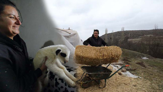 Şehir hayatından sıkılıp köyüne yerleşti: Bir doğum günü hediyesiyle her şey değişti! '24 saat sürekli içlerindeyim, güne keyifle başlıyorum'