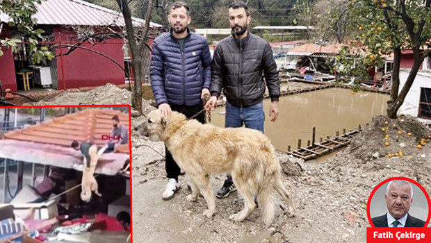 Can dostları için canları pahasına