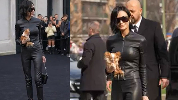 Kucağında köpeği olmaya kimse tanımayacaktı: Çabuk söyle, kimsin sen!