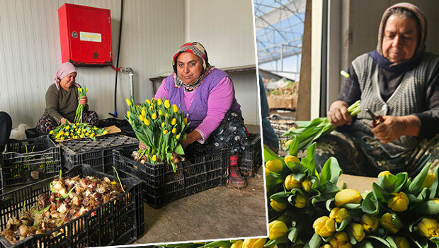 Ne toprak var ne gübre: Su kullanılarak yapılıyor! 1 ay sonra hazır oluyor | 'Türkiye'de bu işin başka bir örneği yok'