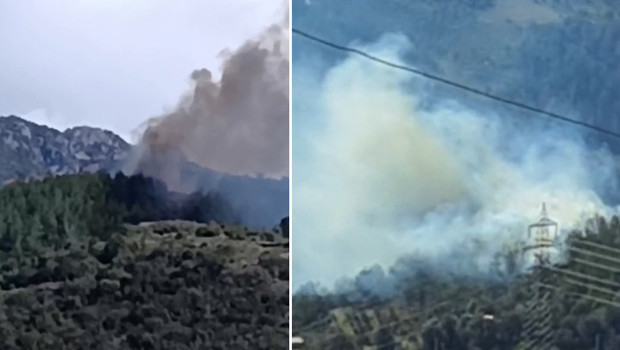 Osmaniye'de orman yangını! Rüzgarın etkisiyle büyüdü