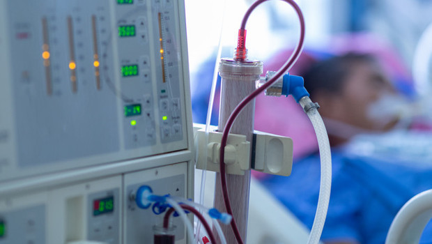 Dünyada bir ilk yaşandı! Hem domuz hem insan böbreği nakledilen Tim Andrews’un mucizevi kurtuluş öyküsü