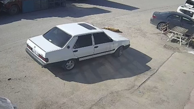 Köpeğin üzerinden otomobili ile geçip, sürükleyen sürücü gözaltında