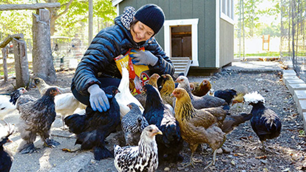 Yaş alıp oyunculuk teklifleri azalınca 'mektepli çiftçi' oldu... Şimdi tavukların nasıl daha çok yumurtlayacağını hesaplıyor!