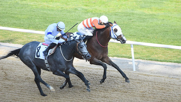 İzmir'de 64'üncü Hipodrom.com Ege Derbisi'nin kazananı The Protecter!