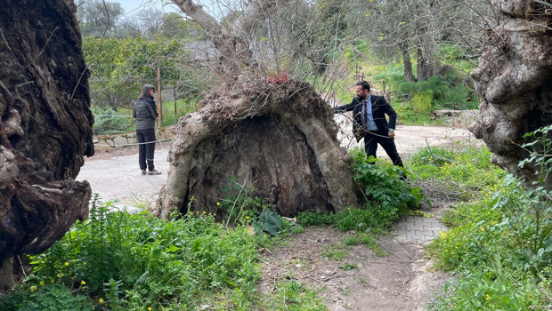 Bodrum'da yürüyüş yapan kişi fark etti! İnceleme başlatıldı... 2 bin yıllık olduğu tahmin ediliyor