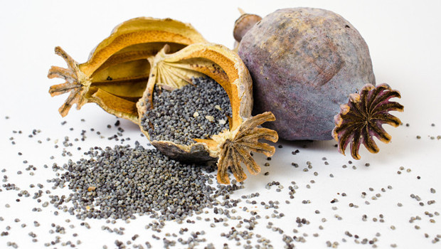 Kolesterol, bağışıklık, sindirim ve daha pek çok şeye iyi geliyorlar! Hangi tohum ne işe yarıyor?