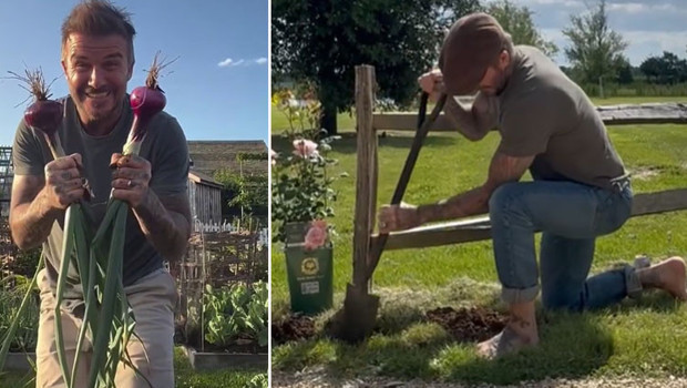 Göz bebeği oğlu onu hoyratça can evinden vurdu... Acısını milyonluk bahçesinde unutuyor: Toprak en sadık dostu oldu!