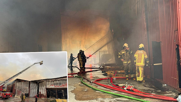 İzmir'de Alevler İçinde Kalan 5 Alan: Yangın Mücadelesi Sürüyor!