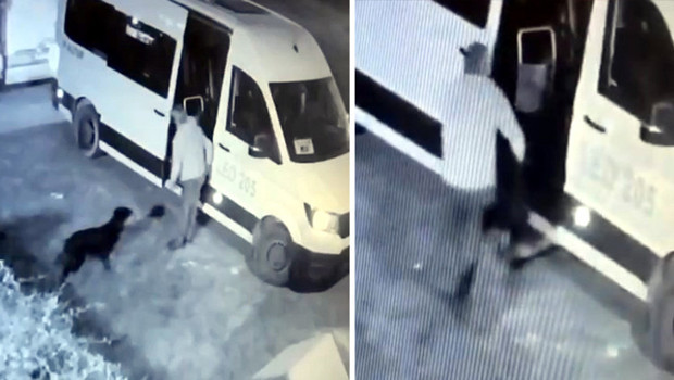 Mahallenin maskotu 'Garip' ortadan kaybolmuştu: Kameraları kontrol edilince gerçek ortaya çıktı