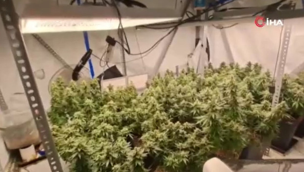 Evleri uyuşturucu serasına, tuvaletleri laboratuvara çevirmişler... 36 kişi gözaltına alındı, 3 tutuklama