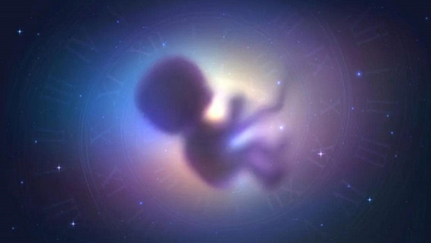 Uzayda çocuk sahibi olmak sandığımızdan daha zor olabilir: Spermler yerçekimsiz ortamda yönlerini kaybediyor