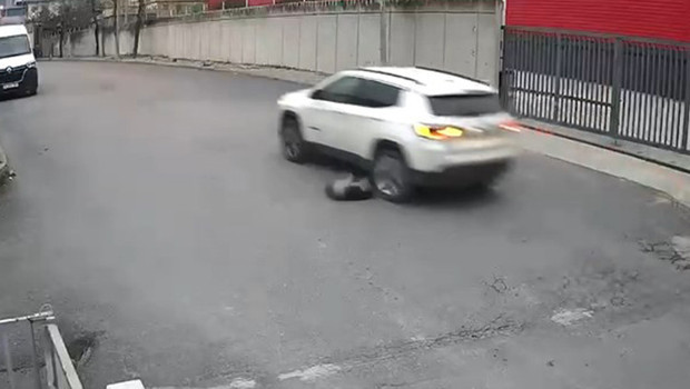 Avcılar'da Dehşet: Cip Sürücüsü Köpeği Ezdikten Sonra Ne Yaptı?