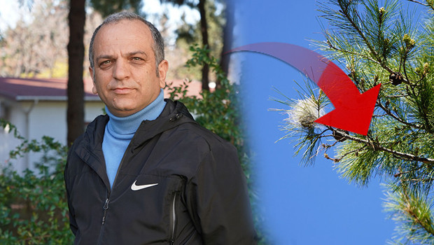 Baharın gelmesiyle yoğunluğu arttı: Uzman isim 'sessiz tehlike'ye karşı uyardı