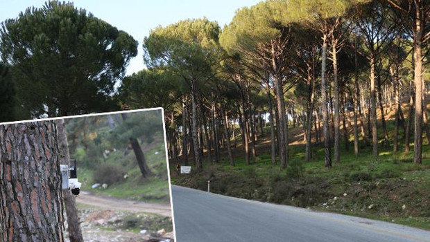 Altın değerinde: Vatandaş korumak için harekete geçti