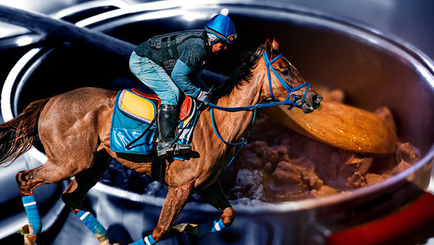 Şampiyon yarış atını kesip kavurma yapmışlardı! Belediye aşevindeki skandalda yeni detaylar