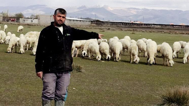Yeme içme ve sigorta da işverene ait: Bu maaşla çalışacak çoban bulamıyorlar