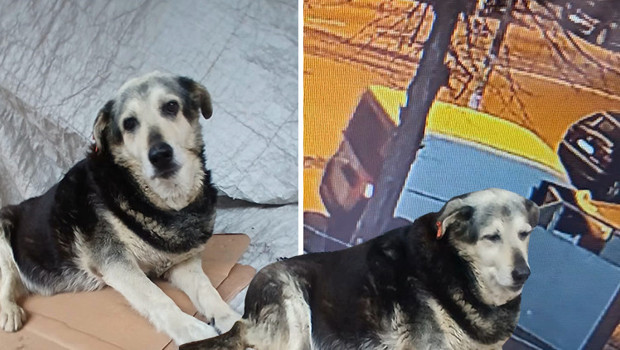 10 yıldan fazla süredir aynı yerde yatıyordu | Kadıköy'ün 'Pakize'sini öldürüp kaçtılar