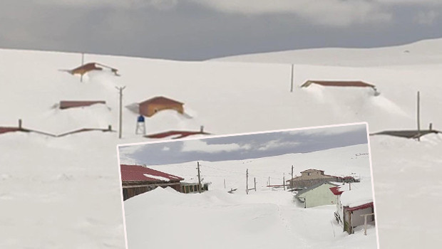 Havaların ısınmasıyla görülmeye başlandı: 3 metre karın altından çıktı