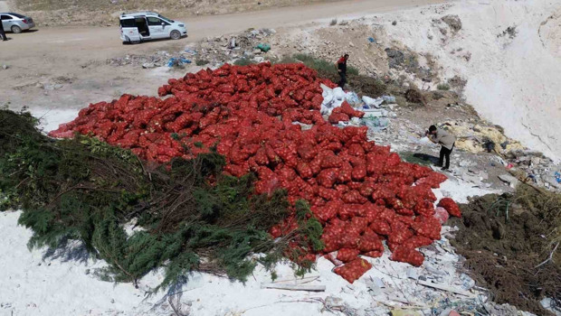 Ticaret Bakanlığı araziye dökülen soğanlar için çalışma başlattı