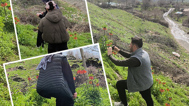 Ters Laleler Nisan’da Sason’a Akın Ettiriyor, Cezası 700 Bin TL!