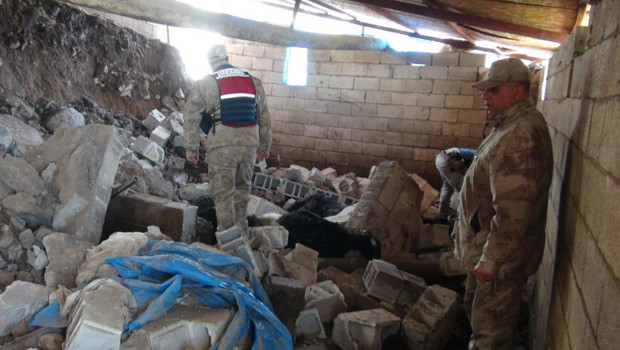 Yağmur sonucu ahır çöktü, 40 koyun öldü