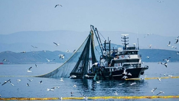 Balık tutkunları dikkat: Tarih belli oldu, av yasağı başlıyor