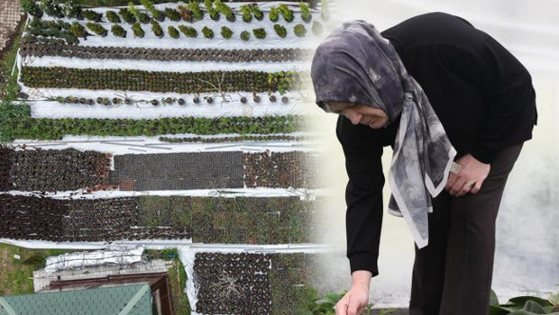 Bir dönüm ile başladı: 2 yılda hayatı değişti! Aylık 100 bin TL gelir elde ediyor | 'Türkiye'nin her yerinden talep var'