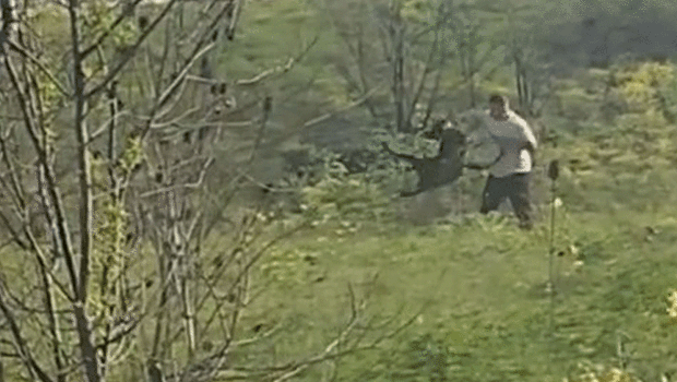 Çevredekilerin tepkilerine aldırış etmedi! Avcılar'da köpeğe şiddet kamerada... Şüpheli aranıyor