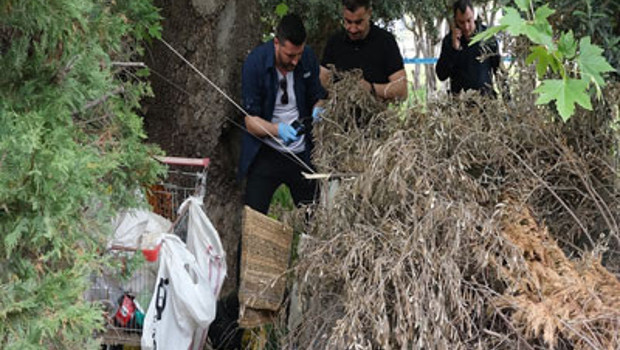 Antalya'da şüpheli ölüm! Ağaç altında bulundu
