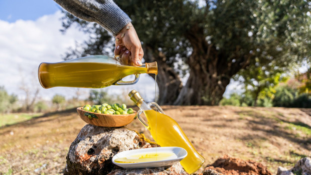 Uzun yaşam doktorundan 4 basit alışkanlık: Güç antrenmanından uyku düzenine kadar her gün uyguladığı rutinini anlattı