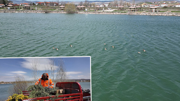 İlçeye ilk kez geldiler: Halk tarafından sevinçle karşılandı! 'Burada kalmaları için elimizden geleni yapacağız'