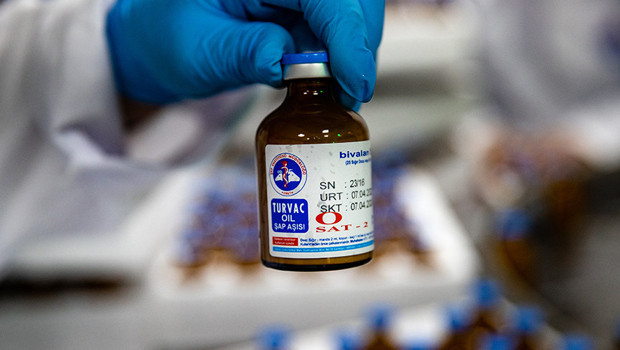 Güney Afrika, şap salgınına karşı Türkiye'den 2 milyon doz aşı temin etti