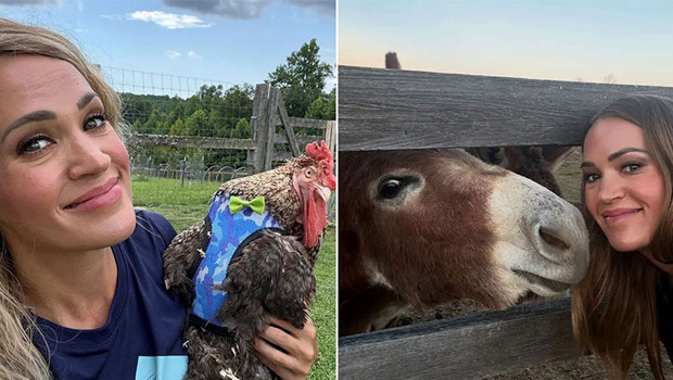 Ünlü şarkıcı 400 dönümlük çitliğinde huzuru buldu… ‘Burada yetiştirdiklerim tüm ailemi doyuruyor’