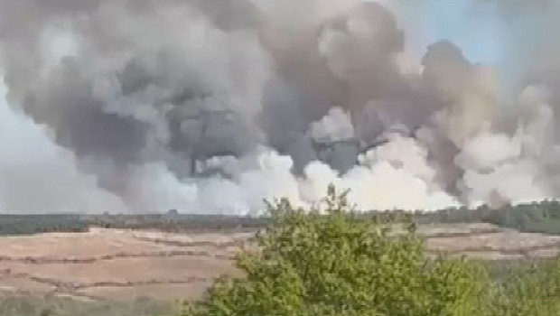 Beykoz'da ormanlık alanda yangın