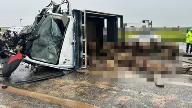 Koyun yüklü kamyonet ile otomobil çarpıştı: 2 ölü, 3 yaralı