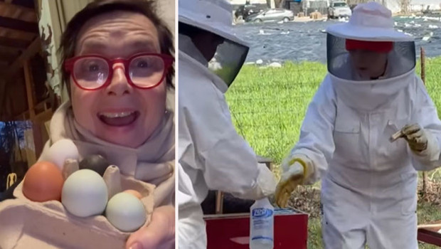 Bir zamanlar dizi setinden film setine koşuyordu: Tavukların yumurtası, kuzuların tüyü gelir kapısı oldu... Sonunda bal işine de girdi