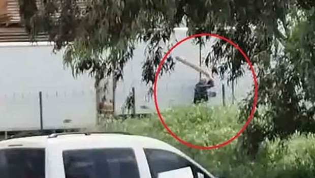 Tavuklarını yediği gerekçesiyle sokak köpeğini sopayla döven kişi gözaltında