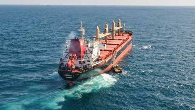 İsrail ile Ukrayna birbirine girdi: Sosyal medyada 'çalıntı tahıl' krizi