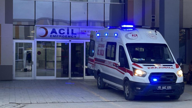 Van'da sokak köpeği dehşeti! 5 yaşındaki çocuk hayatını kaybetti