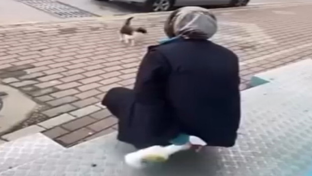 Tepki çeken görüntüler! Kediyi yanına çağırıp yüzüne yağ çözücü sprey sıkmıştı... Adli kontrol şartıyla serbest bırakıldı