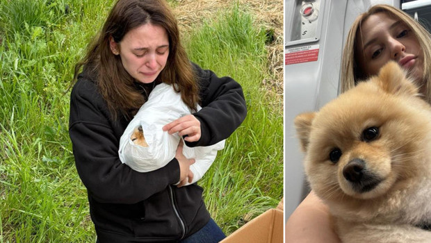 'Petshopta yıkanan köpeğin ihmalden öldüğü' iddiası! 'İki kere ip takılıyor, baskı uygulanıyor'