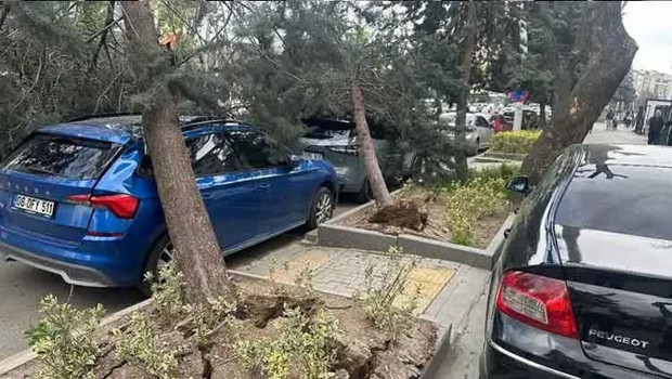 Ankara'yı fırtına vurdu! Ağaçlar kökünden söküldü, direkler devrildi