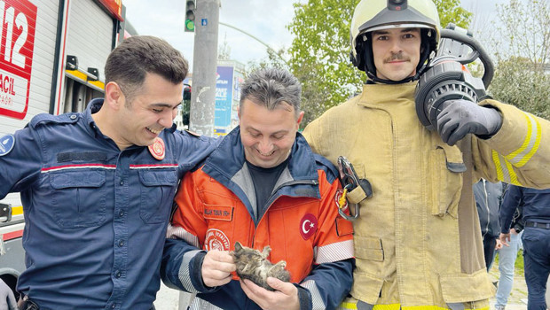 İstanbul İtfaiyesi’nden yavru kedi operasyonu