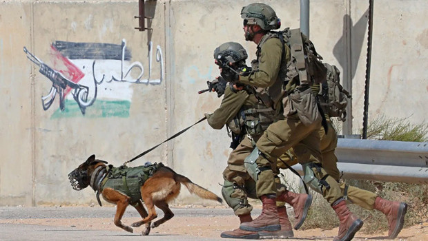 Demir Kubbe’nin Yerine Köpekler mi? İsrail’in Yeni Umudu