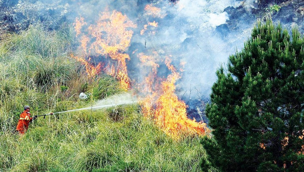 Ormancılardan ‘El Nino’ uyarısı