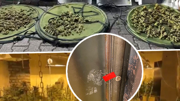 Yoğun koku yayılınca ortaya çıktı! İzole edilmiş odada 'pes'