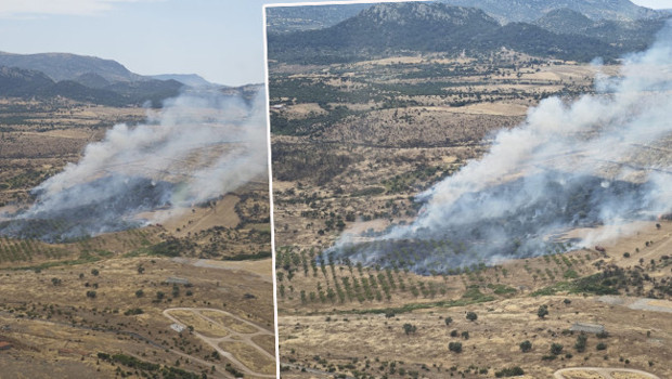 Çanakkale'de orman yangını kontrol altında